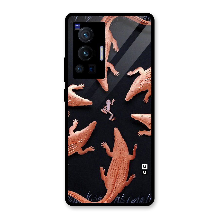 Brave Frog Glass Back Case for Vivo X70 Pro