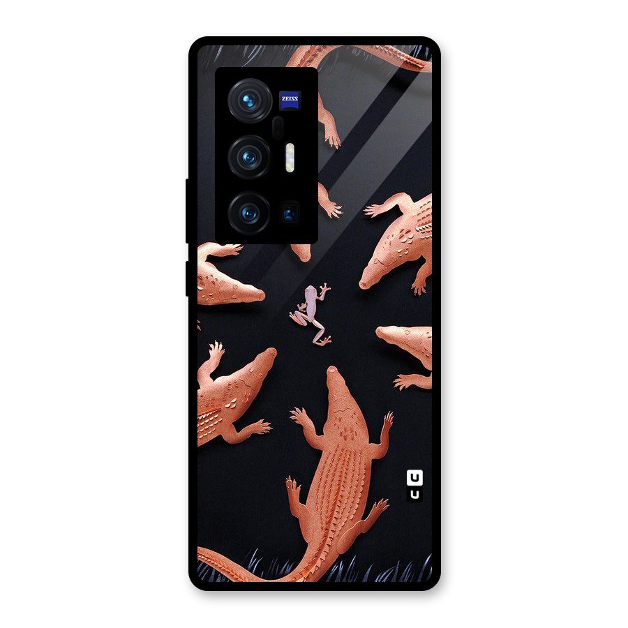 Brave Frog Glass Back Case for Vivo X70 Pro Plus