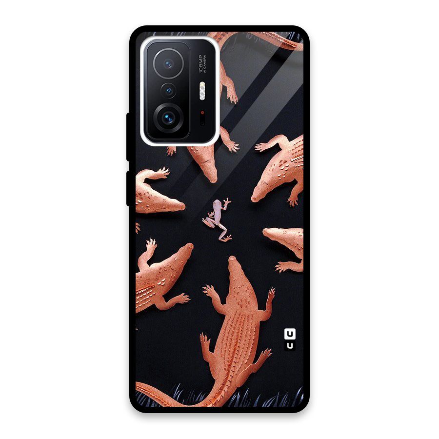 Brave Frog Glass Back Case for Xiaomi 11T Pro
