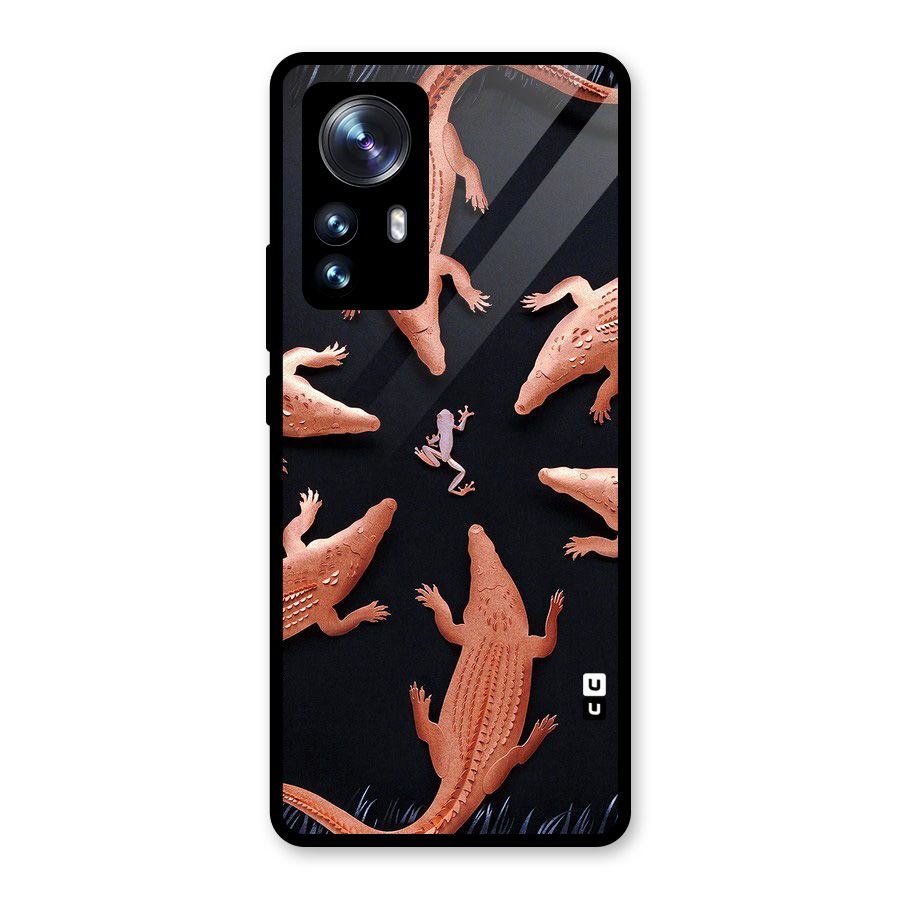 Brave Frog Glass Back Case for Xiaomi 12 Pro