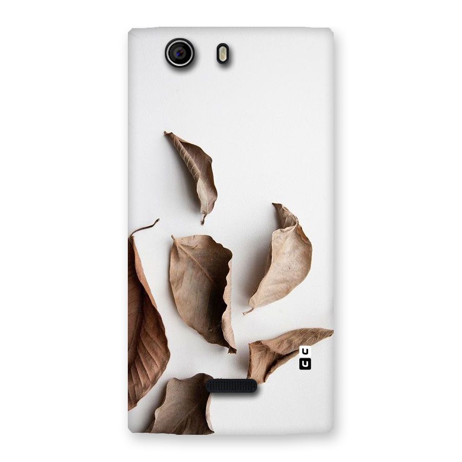 Brown Dusty Leaves Back Case for Canvas Nitro 2 E311