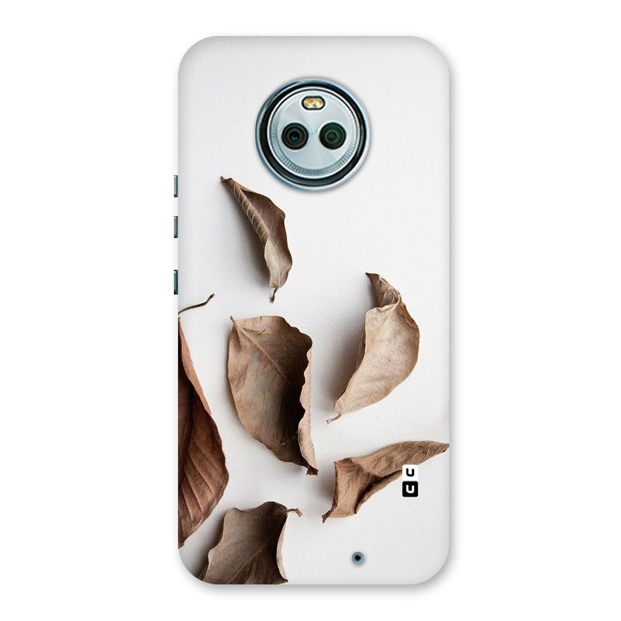 Brown Dusty Leaves Back Case for Moto X4