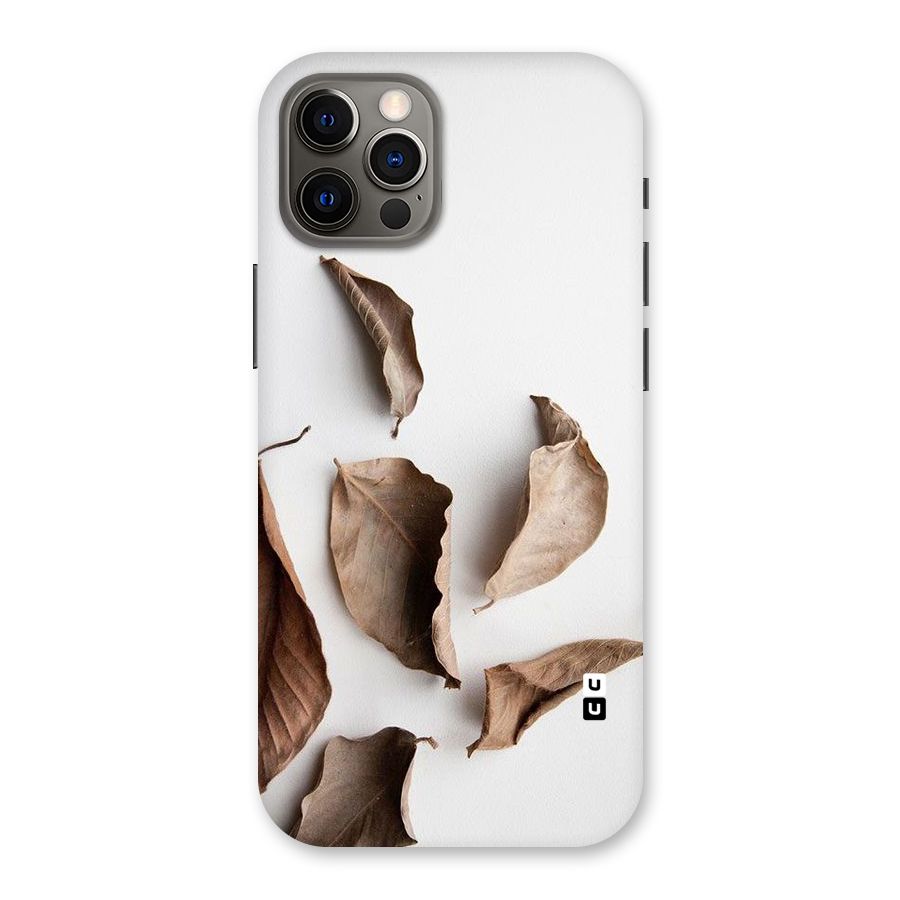 Brown Dusty Leaves Back Case for iPhone 12 Pro