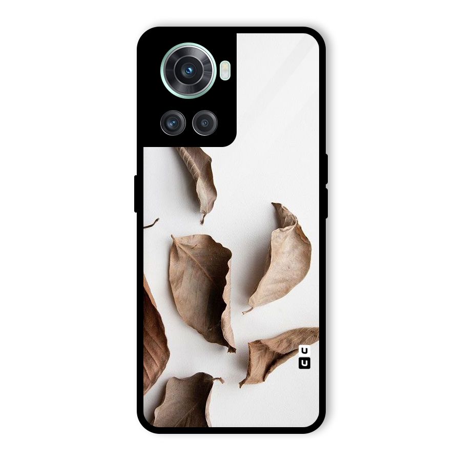 Brown Dusty Leaves Glass Back Case for OnePlus 10R