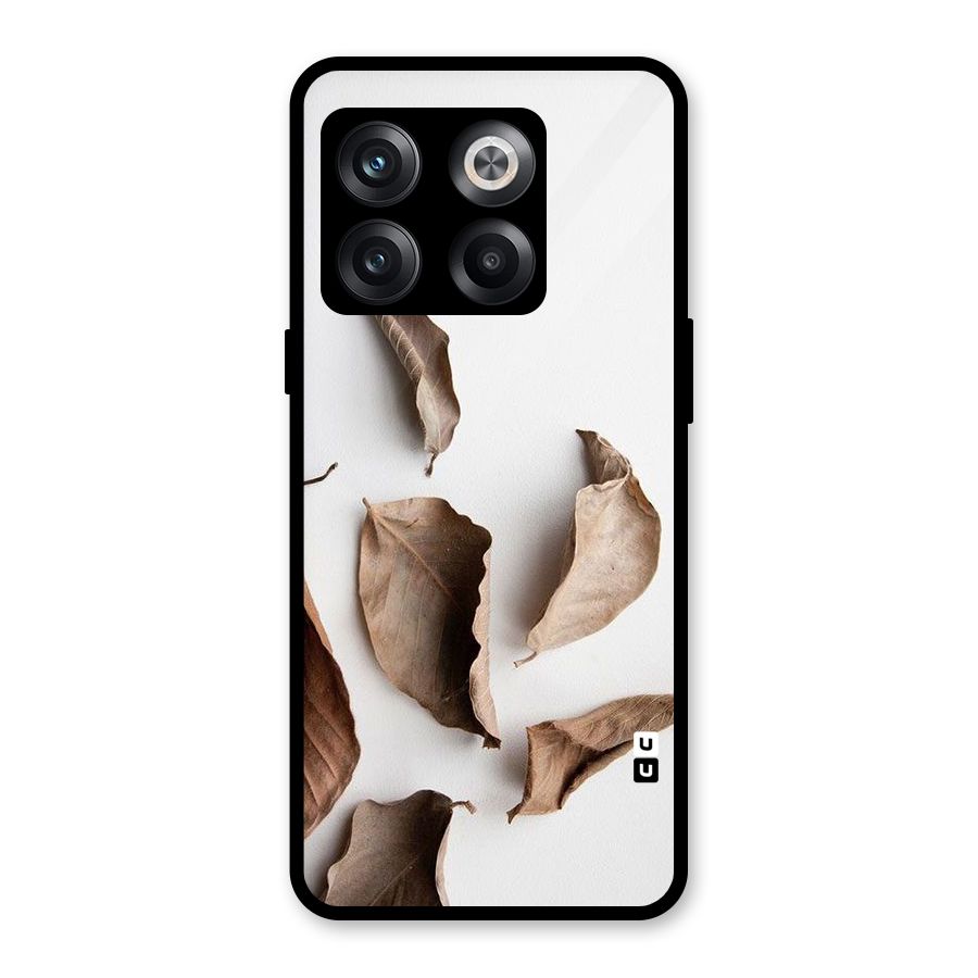 Brown Dusty Leaves Glass Back Case for OnePlus 10T