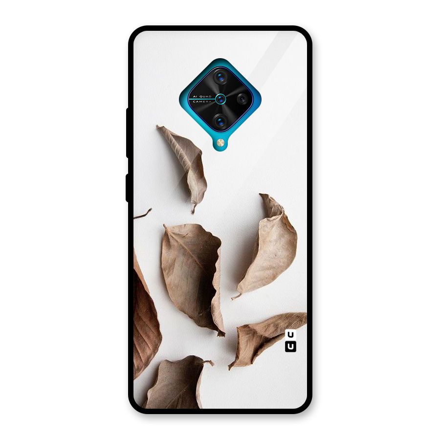 Brown Dusty Leaves Glass Back Case for Vivo S1 Pro