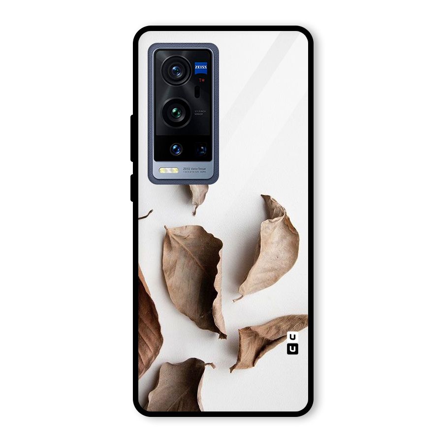 Brown Dusty Leaves Glass Back Case for Vivo X60 Pro Plus