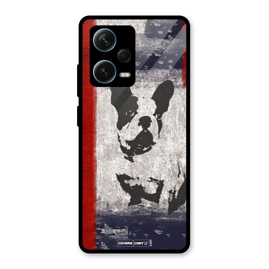 Bull Dog Glass Back Case for Redmi Note 12 Pro Plus 5G