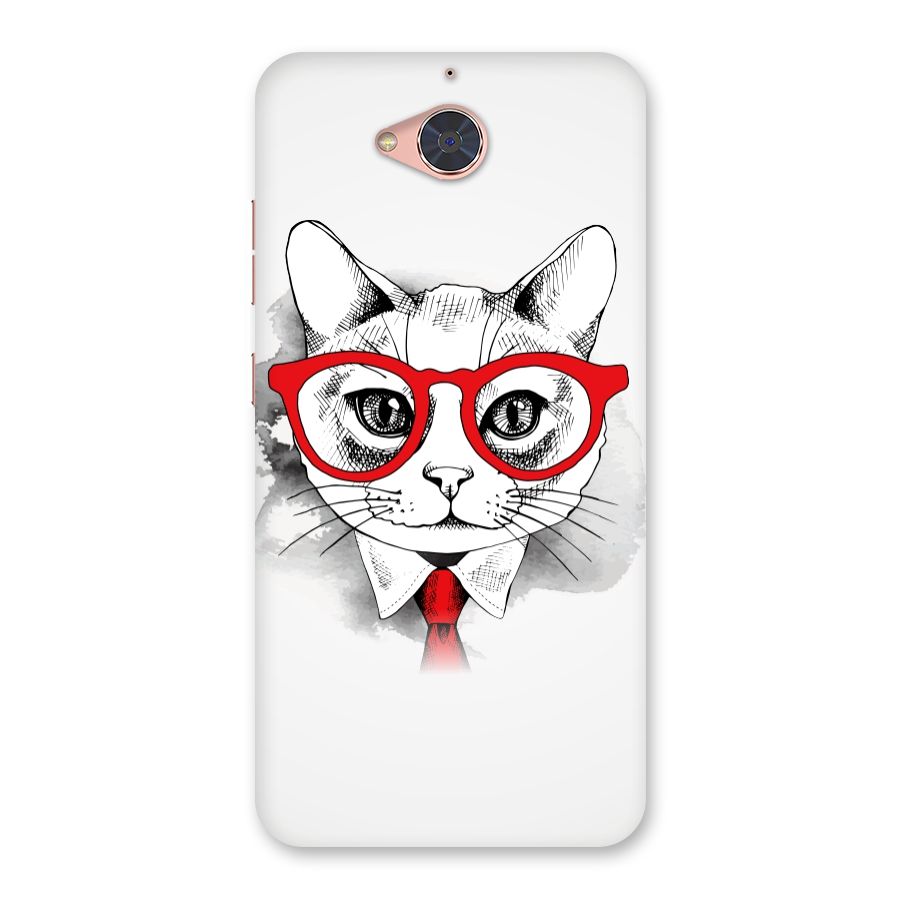 Business Cat Back Case for Gionee S6 Pro