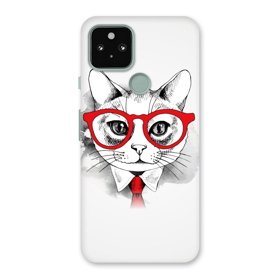 Business Cat Back Case for Google Pixel 5