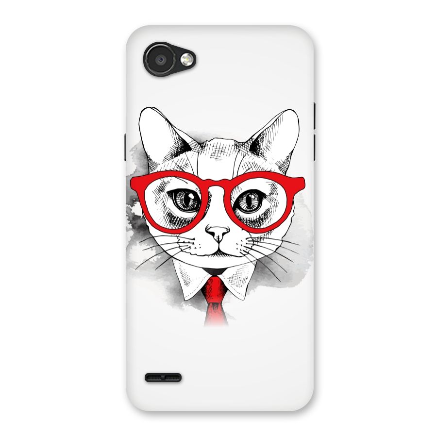 Business Cat Back Case for LG Q6