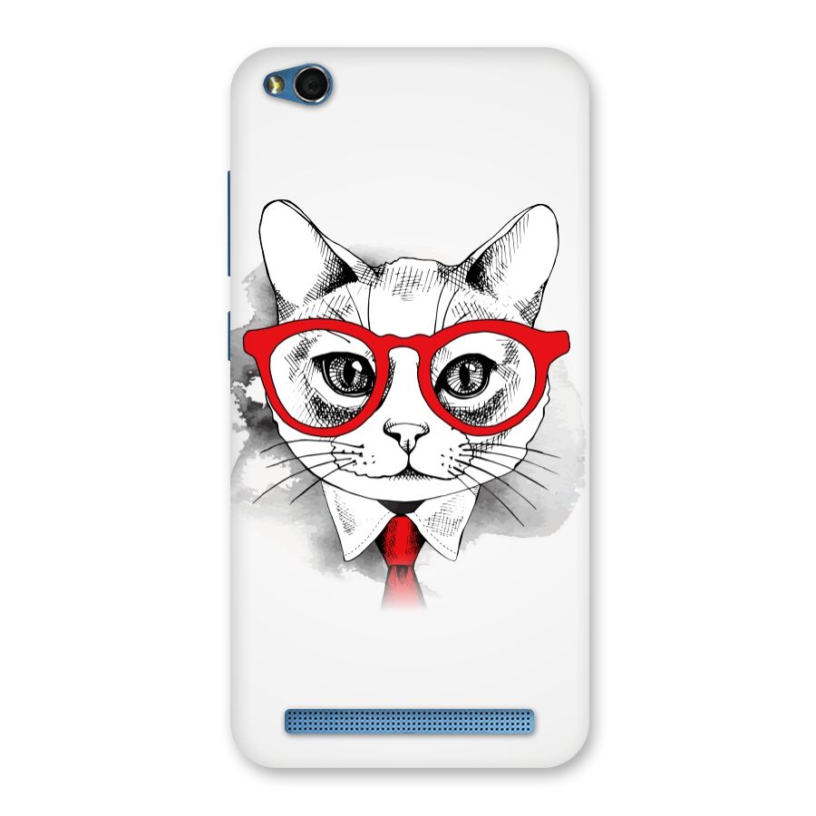 Business Cat Back Case for Redmi 5A