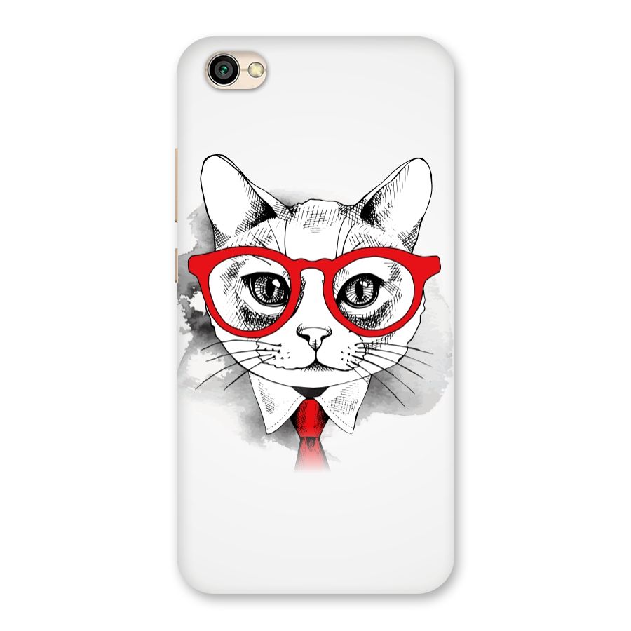 Business Cat Back Case for Redmi Y1 Lite