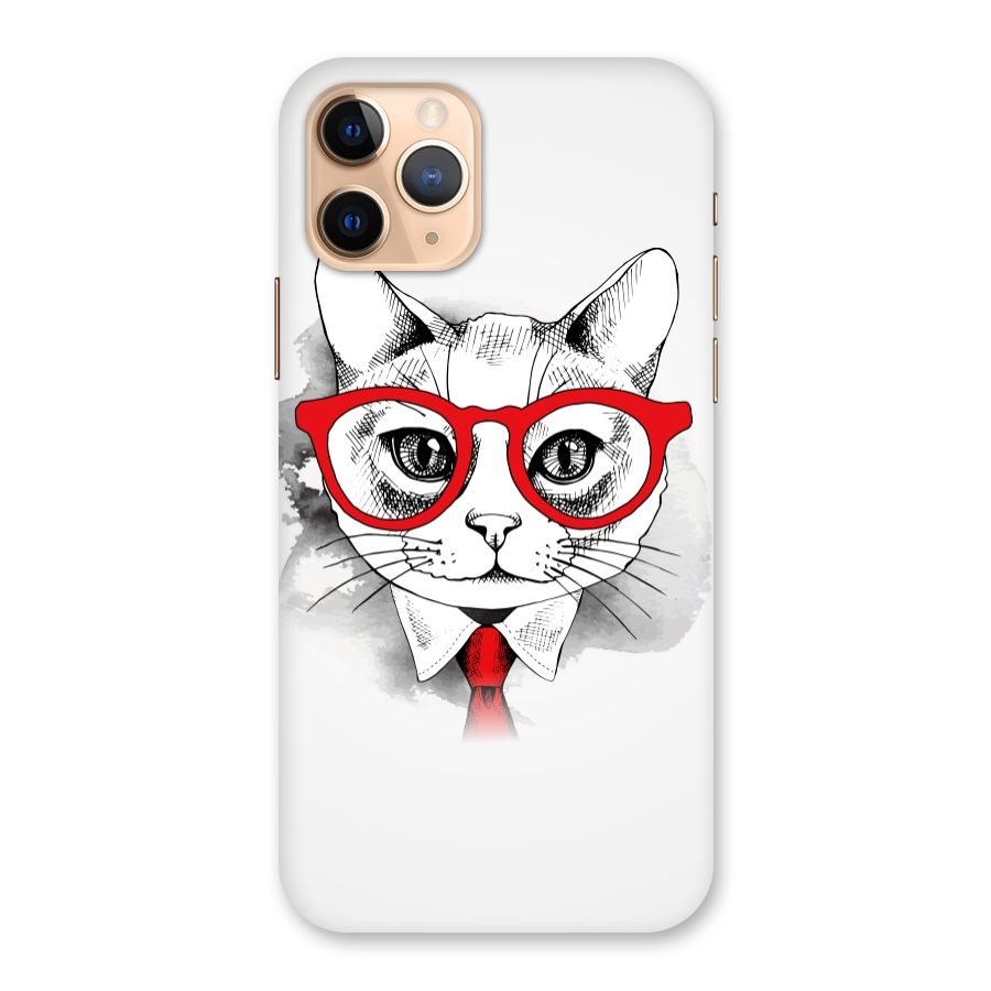 Business Cat Back Case for iPhone 11 Pro
