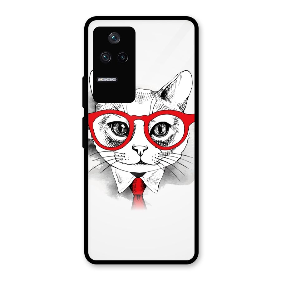 Business Cat Glass Back Case for Poco F4 5G