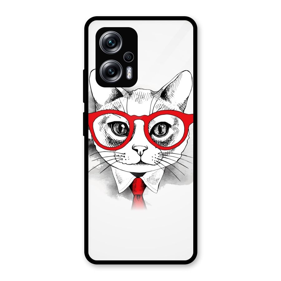 Business Cat Glass Back Case for Redmi K50i