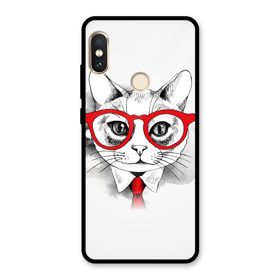 Business Cat Glass Back Case for Redmi Note 5 Pro