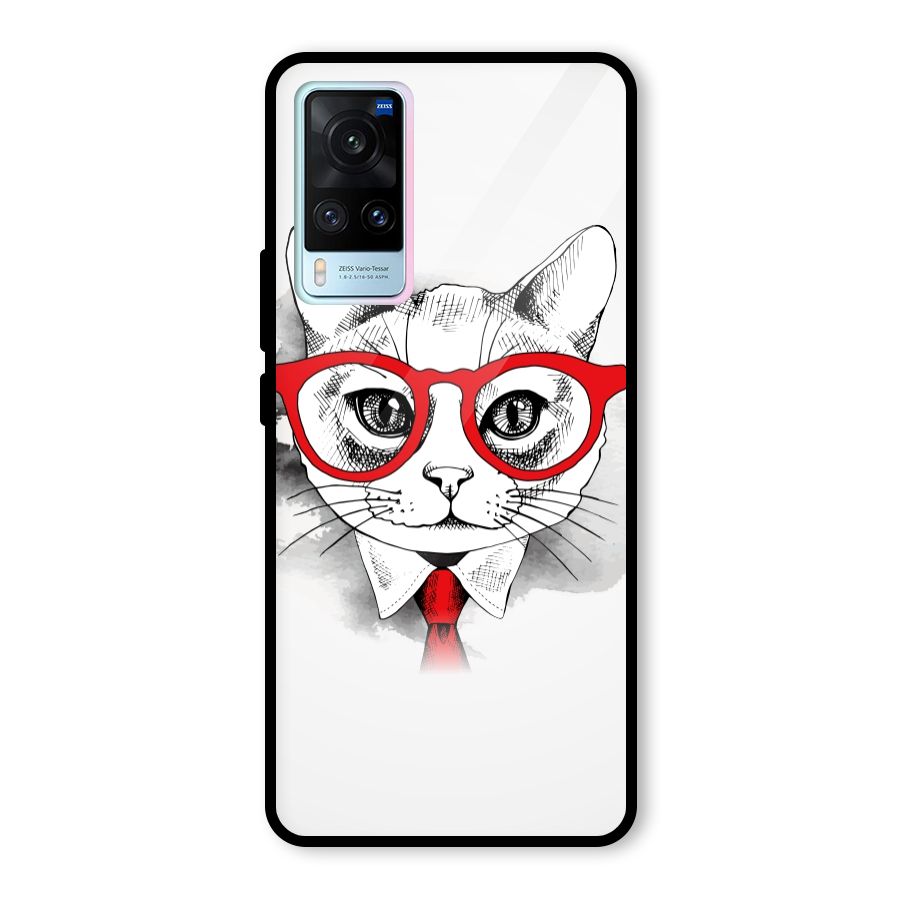 Business Cat Glass Back Case for Vivo X60