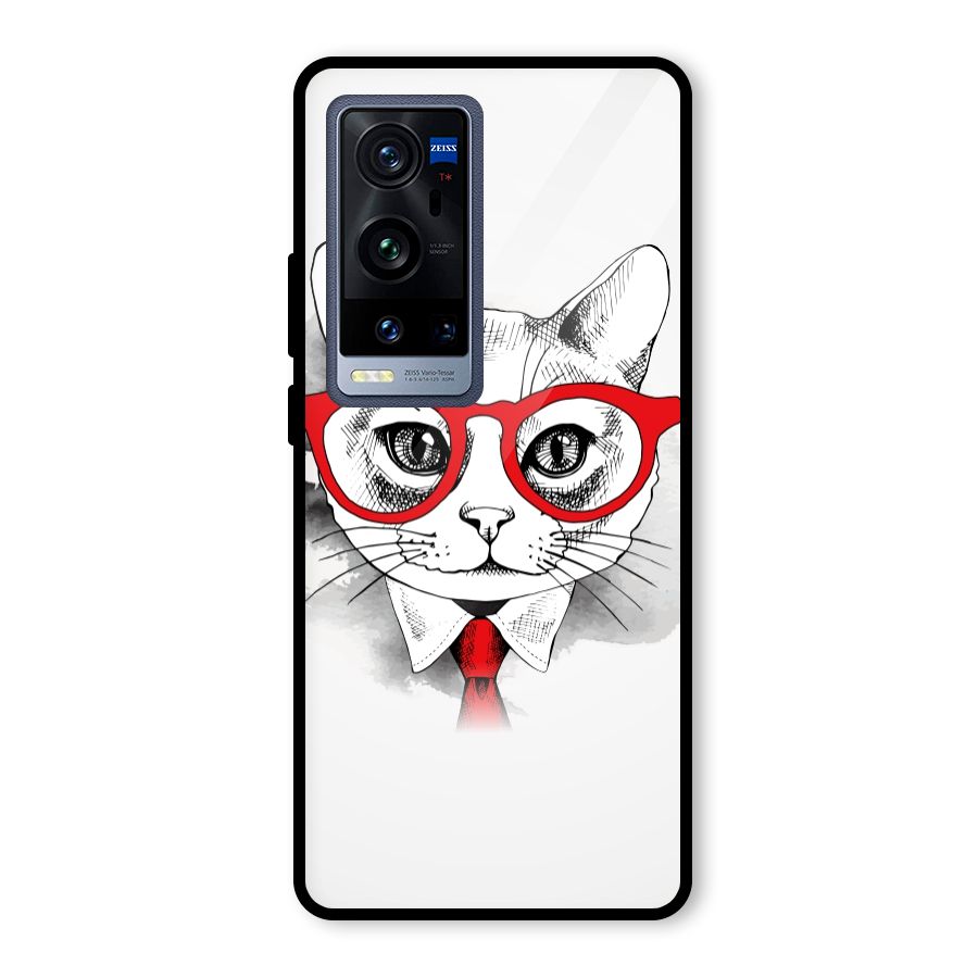 Business Cat Glass Back Case for Vivo X60 Pro Plus