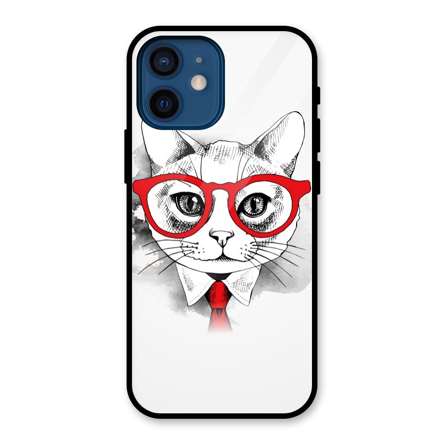 Business Cat Glass Back Case for iPhone 12 Mini