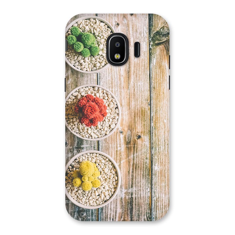 Cacti Decor Back Case for Galaxy J2 Pro 2018