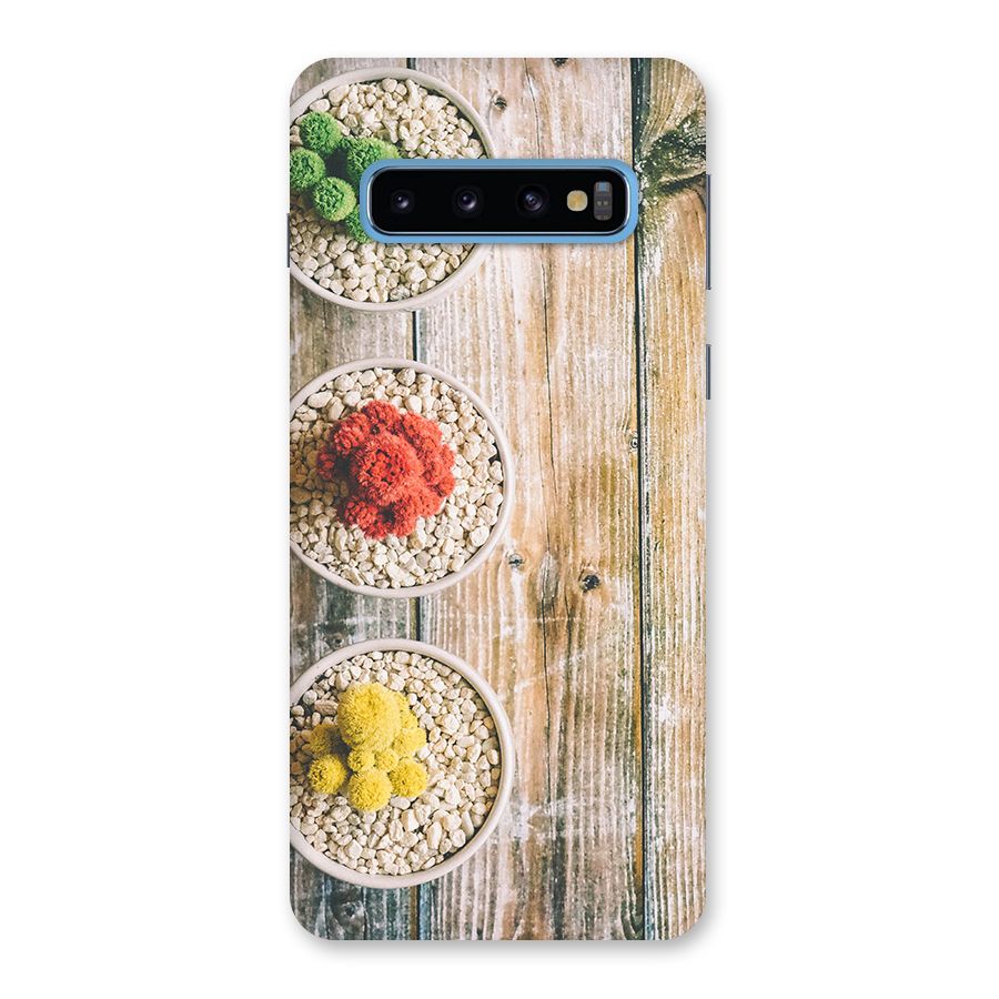 Cacti Decor Back Case for Galaxy S10