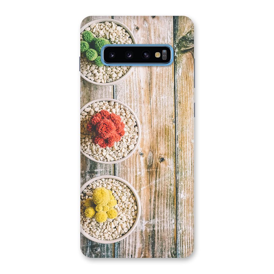 Cacti Decor Back Case for Galaxy S10 Plus