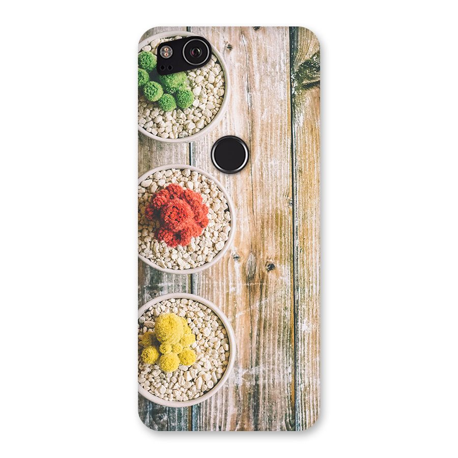 Cacti Decor Back Case for Google Pixel 2