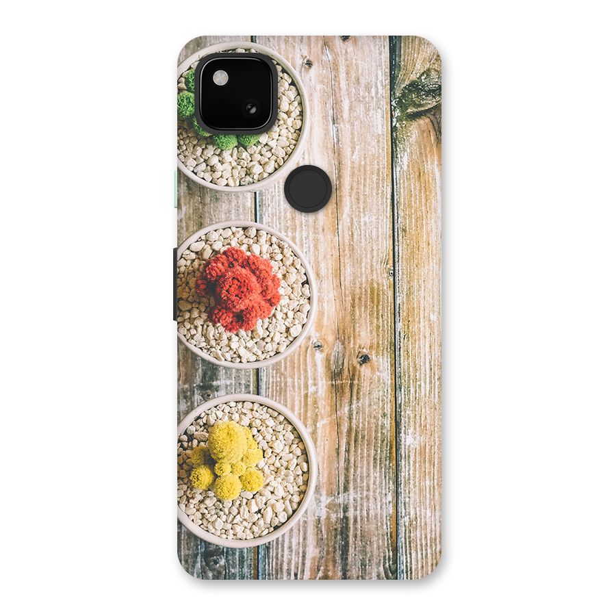 Cacti Decor Back Case for Google Pixel 4a