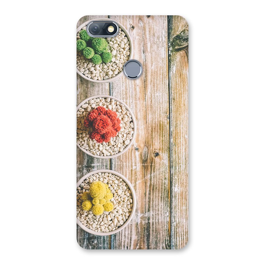 Cacti Decor Back Case for Infinix Note 5