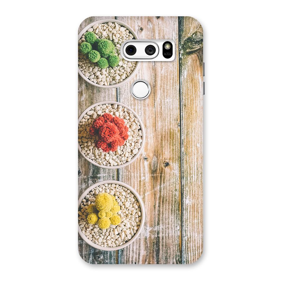 Cacti Decor Back Case for LG V30