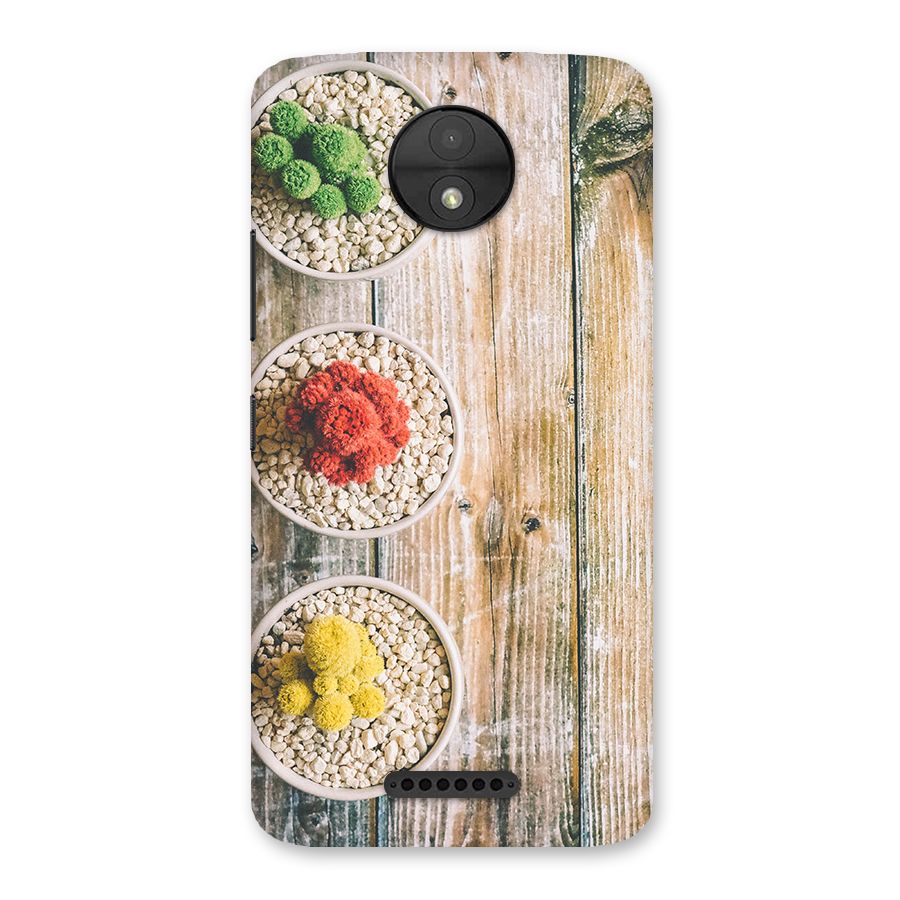 Cacti Decor Back Case for Moto C
