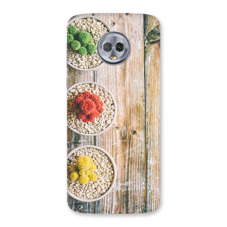 Cacti Decor Back Case for Moto G6 Plus