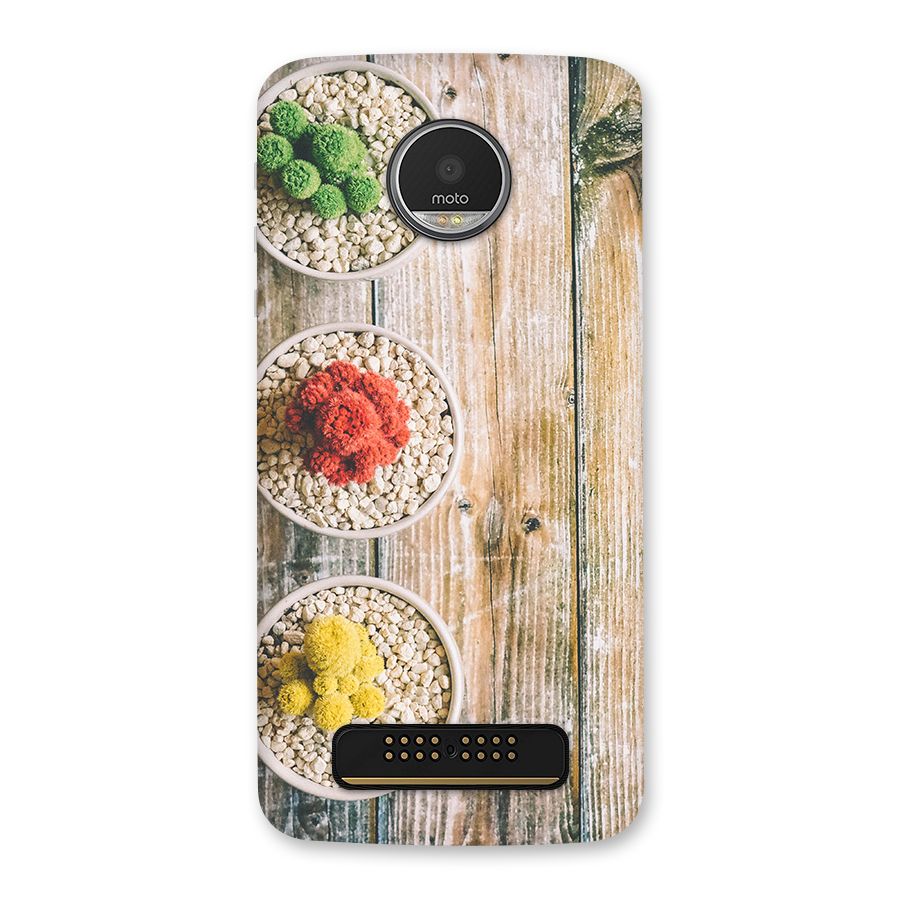 Cacti Decor Back Case for Moto Z Play