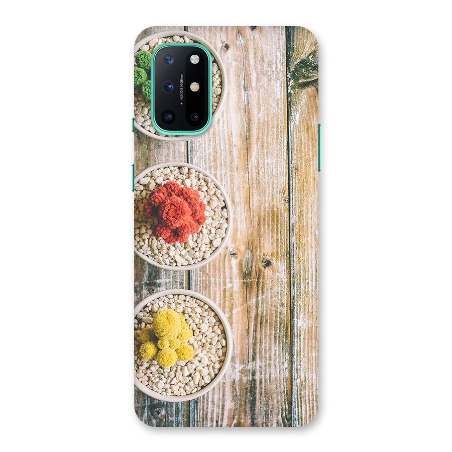 Cacti Decor Back Case for OnePlus 8T