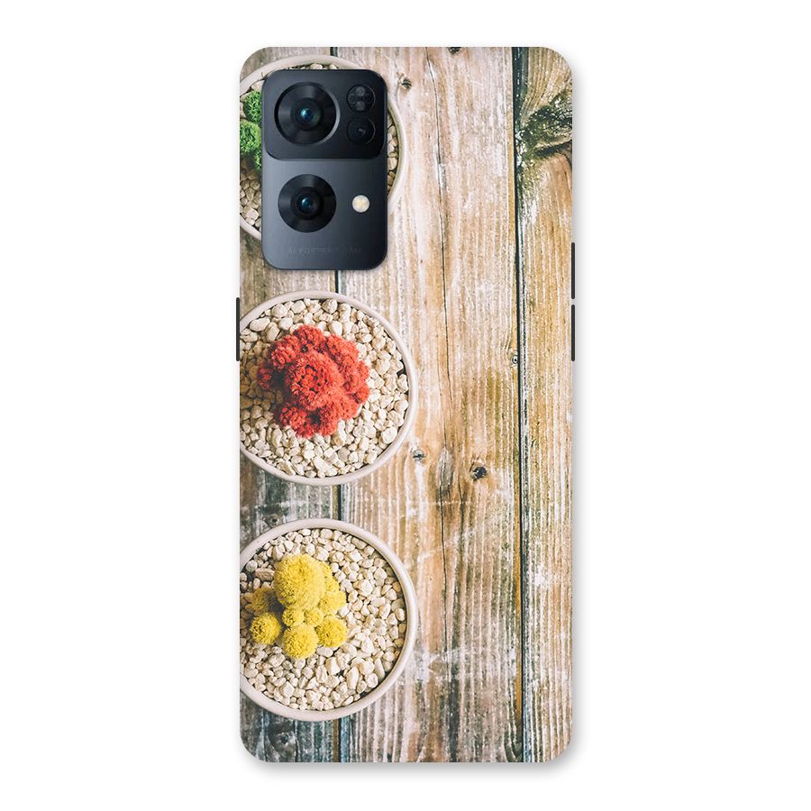 Cacti Decor Back Case for Oppo Reno7 Pro 5G
