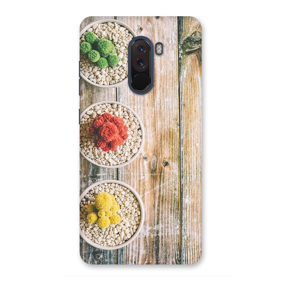 Cacti Decor Back Case for Poco F1
