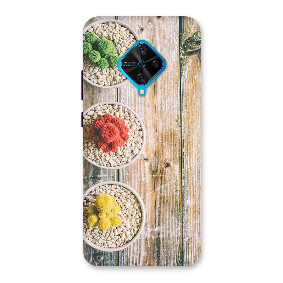 Cacti Decor Back Case for Vivo S1 Pro