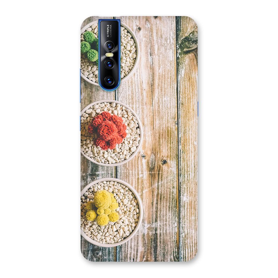 Cacti Decor Back Case for Vivo V15 Pro