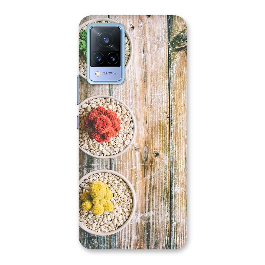 Cacti Decor Back Case for Vivo V21 5G