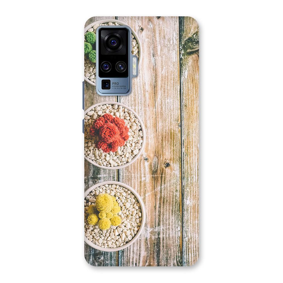 Cacti Decor Back Case for Vivo X50 Pro