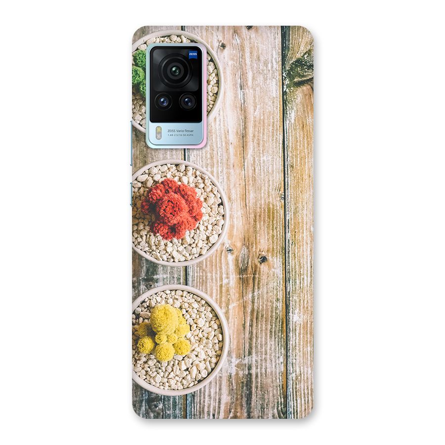 Cacti Decor Back Case for Vivo X60 Pro