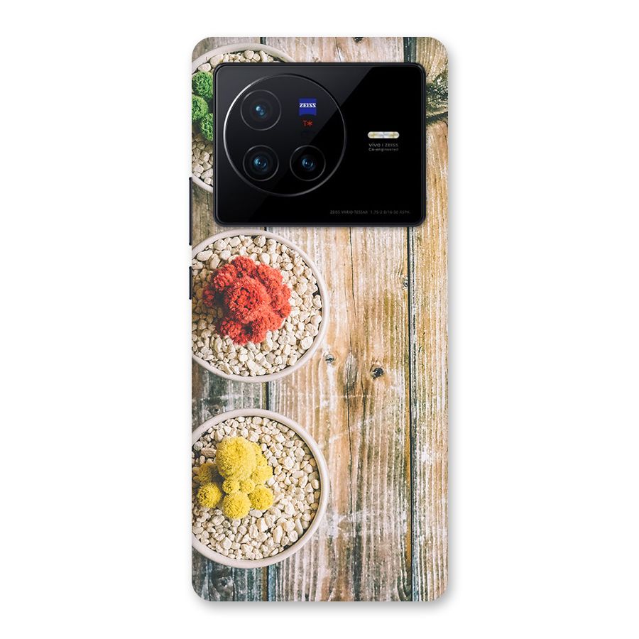 Cacti Decor Back Case for Vivo X80