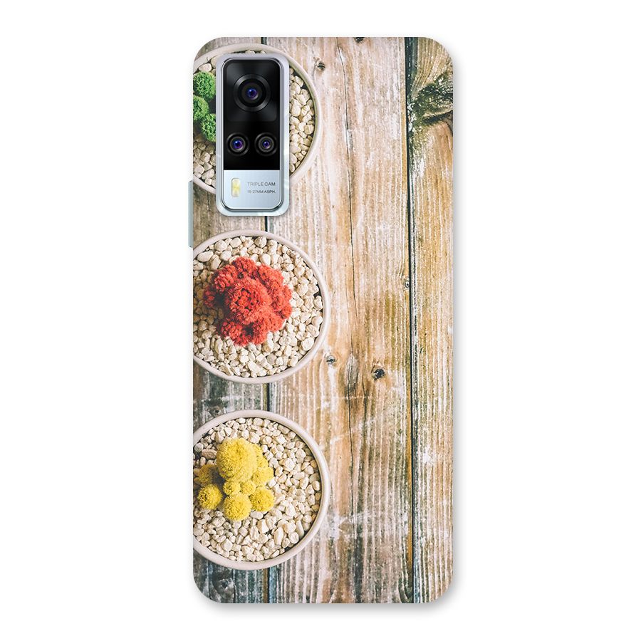 Cacti Decor Back Case for Vivo Y31