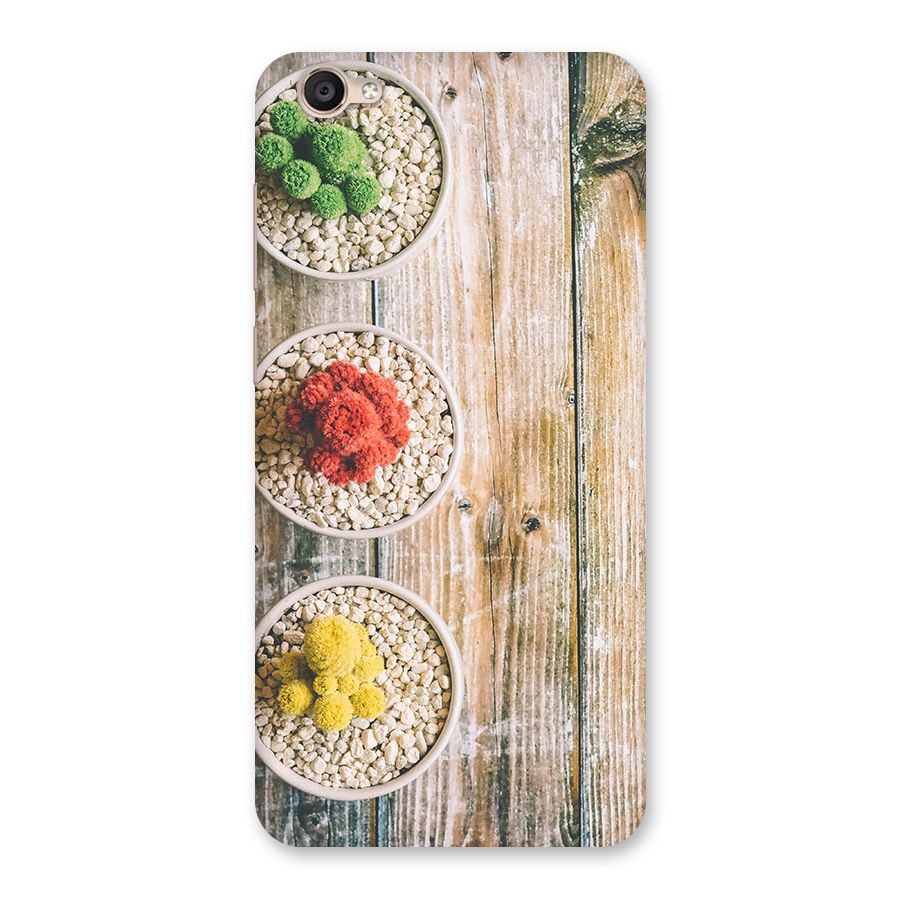 Cacti Decor Back Case for Vivo Y55s
