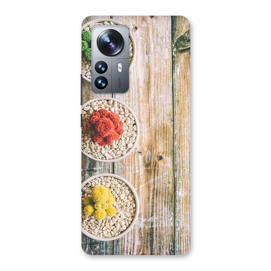 Cacti Decor Back Case for Xiaomi 12 Pro