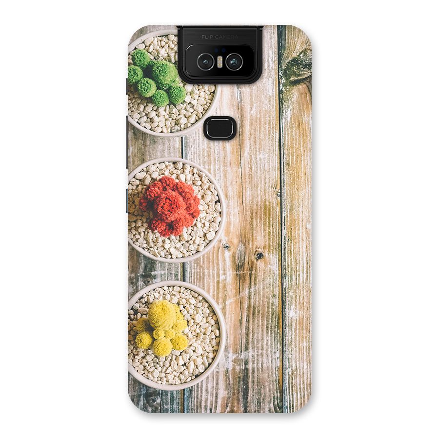 Cacti Decor Back Case for Zenfone 6z