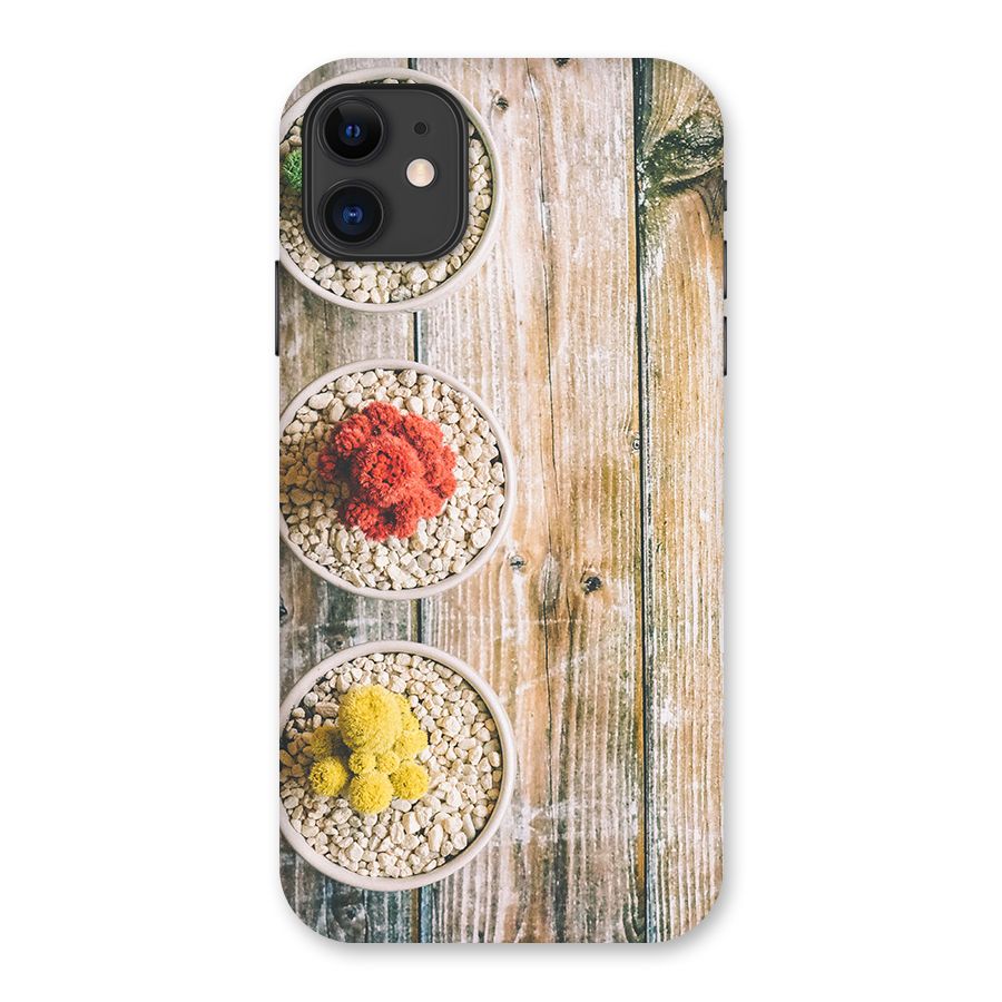 Cacti Decor Back Case for iPhone 11