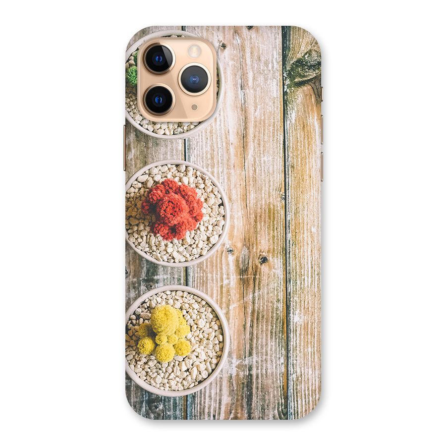 Cacti Decor Back Case for iPhone 11 Pro