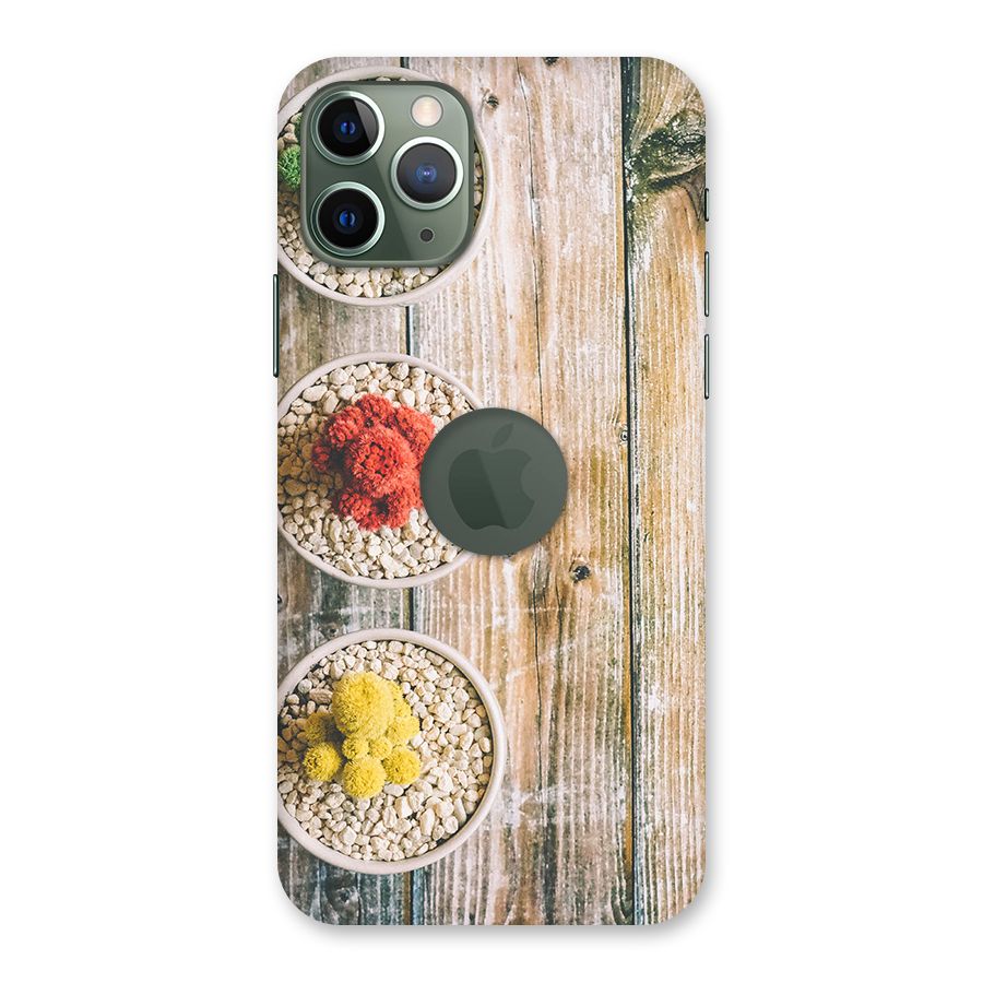 Cacti Decor Back Case for iPhone 11 Pro Logo  Cut